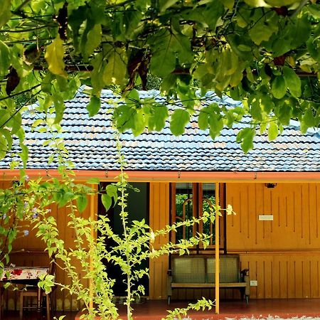 Marari Beach Pearl Homestay Mararikulam Exteriér fotografie