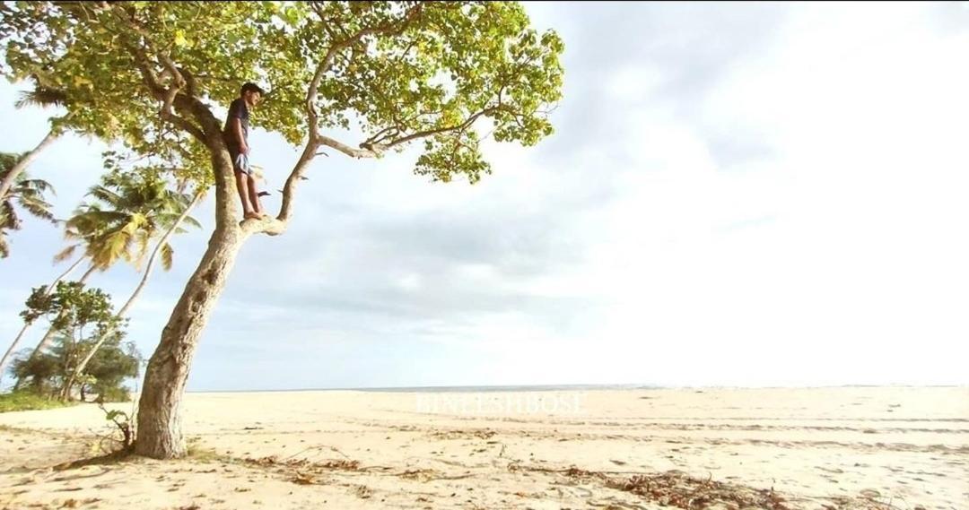 Marari Beach Pearl Homestay Mararikulam Exteriér fotografie