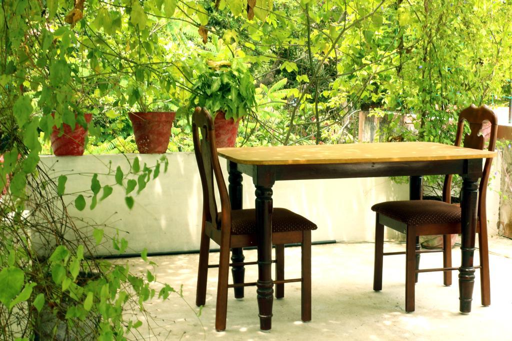 Marari Beach Pearl Homestay Mararikulam Exteriér fotografie