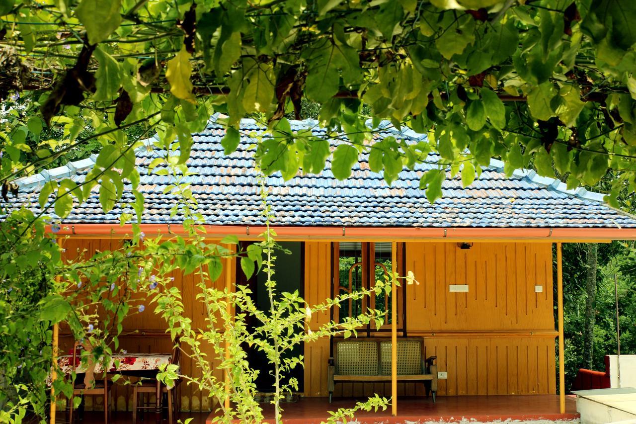 Marari Beach Pearl Homestay Mararikulam Exteriér fotografie