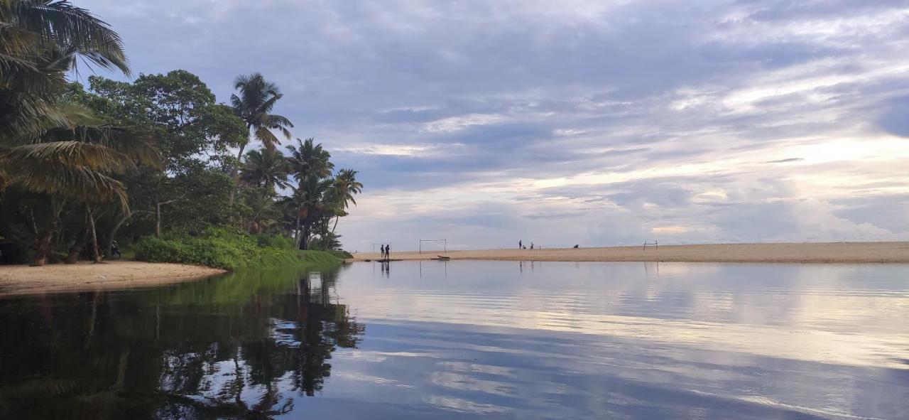 Marari Beach Pearl Homestay Mararikulam Exteriér fotografie